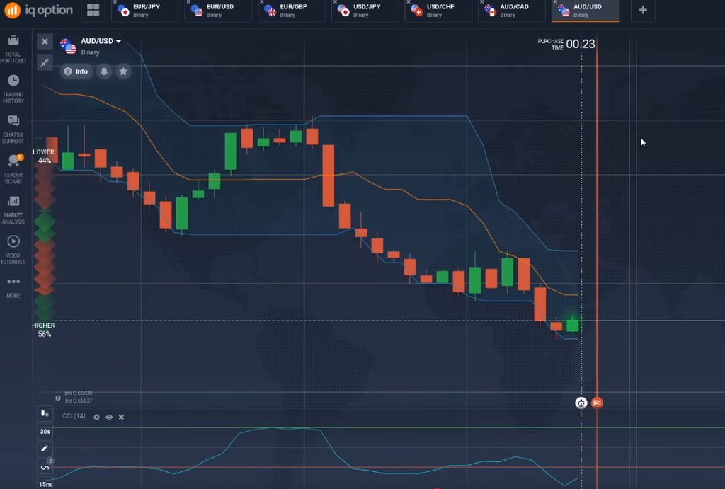 IQ Option Binary Options